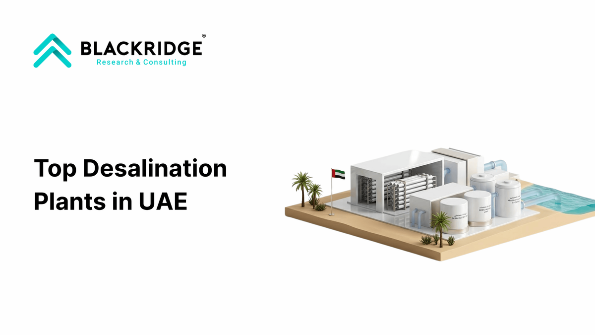 Top 5 Largest Desalination Plants in UAE