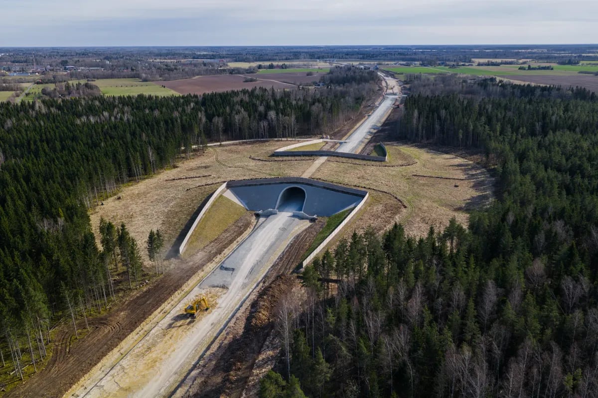 Rail Baltica