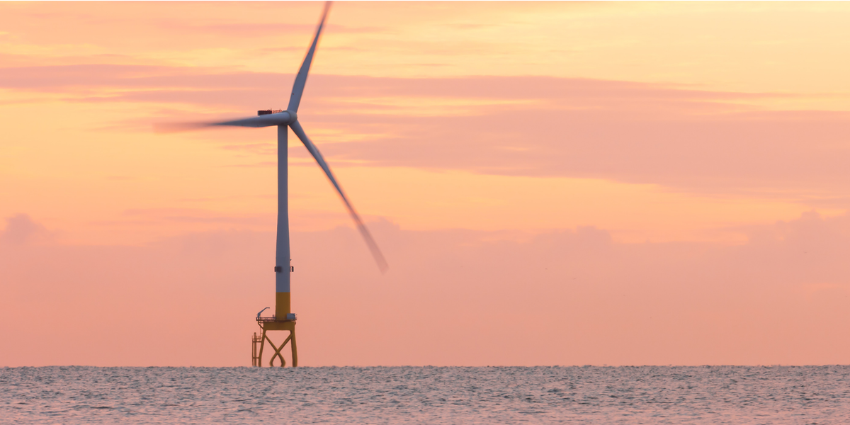 Vattenfall Tests 16-Camera AI Bird System at Dutch Wind Farm