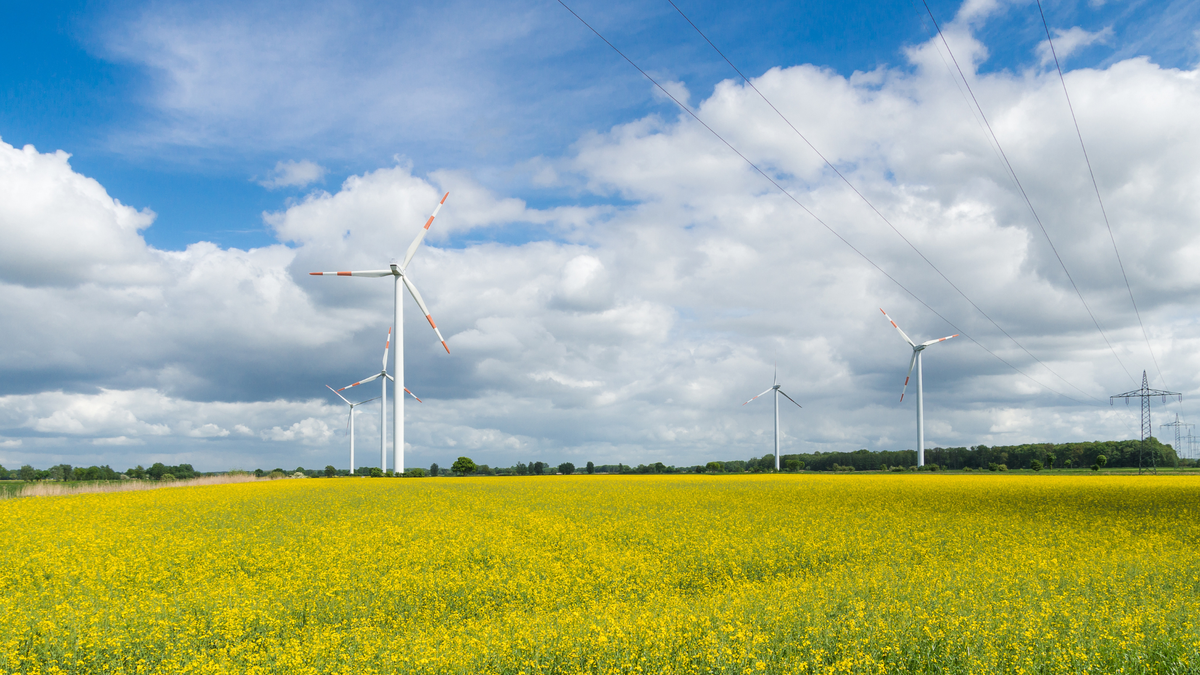 Emergy Completes Sale of 168 MW Alibunar Wind Project in Serbia, Europe to Heavy Energy International