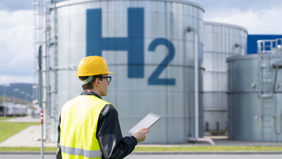 African Development Bank Opens $20 Million Green Hydrogen Program for Private Sector Projects Across Africa