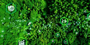 The Green Revolution in Travel: How Wego and GNTO are Pioneering Sustainable Tourism