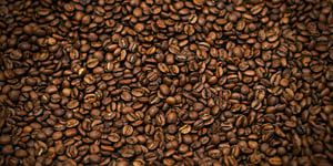USDA Report Sheds Light on Future of Coffee Production and its Global Impacts