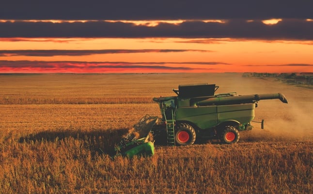 Navigating the Turbulence: The Impact of Global Feed Prices on Poultry Production