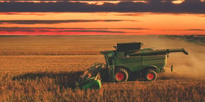 Navigating the Turbulence: The Impact of Global Feed Prices on Poultry Production