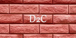 The Unstoppable Rise of Direct-to-Consumer (DTC) in the Cosmetics World: A Game Changer?