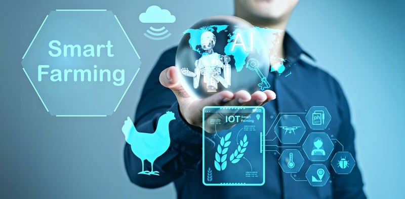 The Game-Changing Innovations Shaping the Future of Poultry Feed