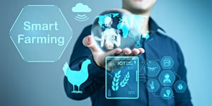 The Game-Changing Innovations Shaping the Future of Poultry Feed