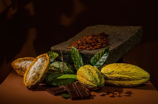 Voyage Foods’ $25M Cocoa-Free Chocolate Venture: A New Era in Sustainable Food Manufacturing