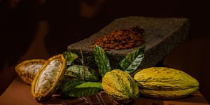 Voyage Foods’ $25M Cocoa-Free Chocolate Venture: A New Era in Sustainable Food Manufacturing