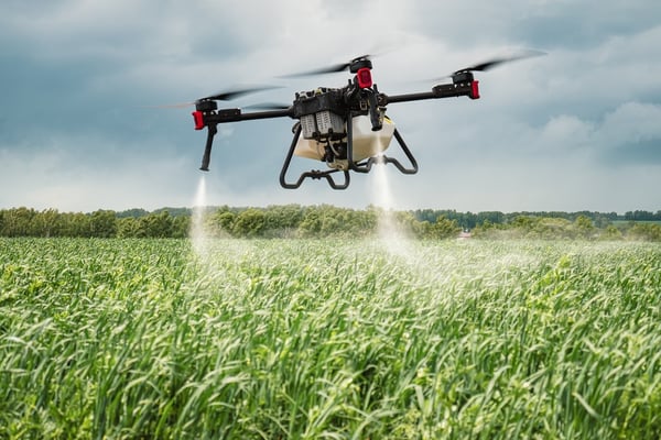 The Global Race for Efficiency: Technological Advancements in Poultry Feed