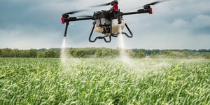 The Global Race for Efficiency: Technological Advancements in Poultry Feed