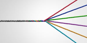 Whitbread PLC: A Case Study in Resilience Through Diversification