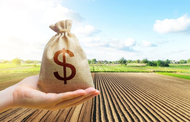African Development Bank’s $500 Million Investment: A Game Changer for Smallholder Farmers
