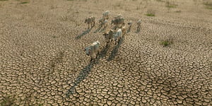 Understanding the Impact of Climate Change on Agricultural Insurance