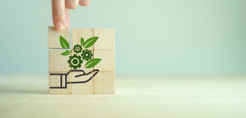 Sustainability in Hotel Design and Operations: Leading Examples