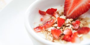 The Rise of Mycelium-Based Foods in the Northeast: A Green Revolution in the Food Retail Segment