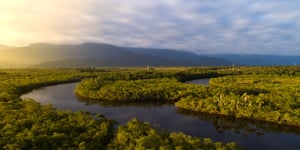 The Amazon Jungle: Survival of the Fittest in Retail’s New Reality