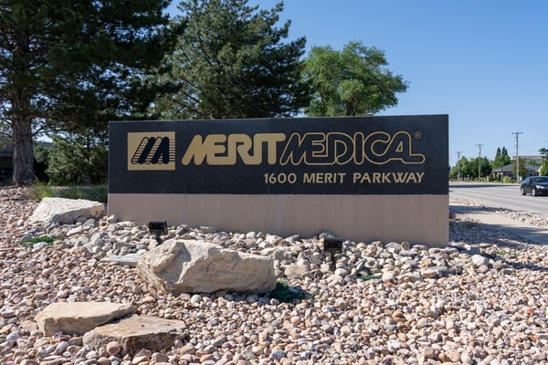 Why Merit Medical’s $105 Million Bet on EndoGastric Solutions Is a Game-Changer for MedTech
