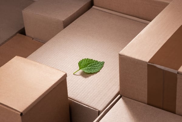 Revolutionizing Cold Chain Logistics: The Eco-Friendly Shift with Hultsteins and Reynolds Logistics
