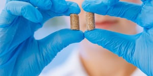 The Role of Technology in Transforming Poultry Feed