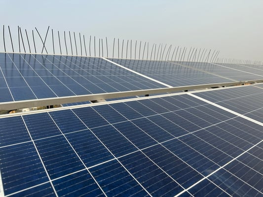 Canadian Solar and D.R. Horton: Pioneering the Future of Sustainable Housing in California