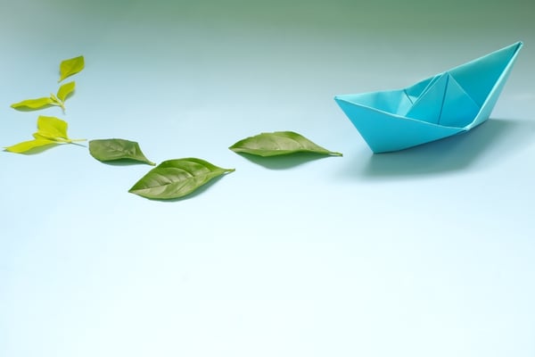 Sustainability at Sea: Marine Insurance’s Role in Promoting Eco-friendly Practices