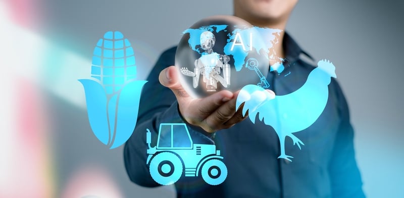 The Role of Technology in Poultry Feed Production