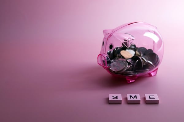 $295 Million Boost for Nigeria’s SMEs through Access Bank Syndication