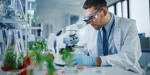 The Rise of Lab-Developed Foods: Navigating New FDA Regulations