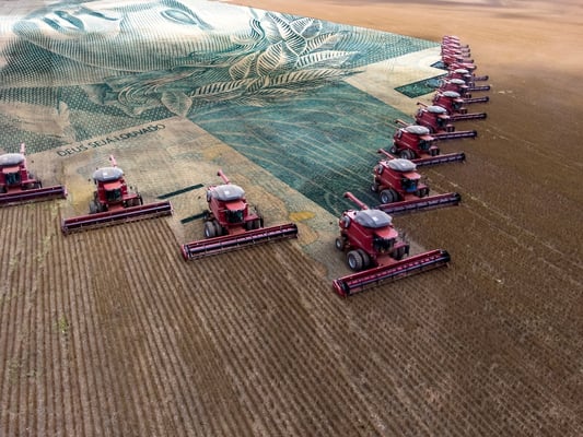DP World and Rumo’s $500 Million Venture: A Strategic Leap for Brazil’s Agribusiness