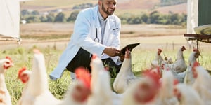The Untapped Gold Mine of Poultry Farming: Tech Revolution!
