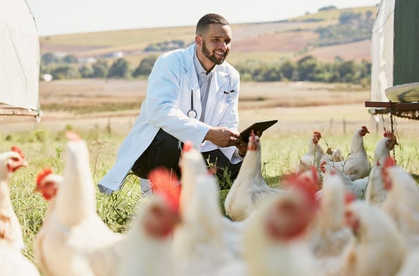 The Future of Poultry: Next-Generation Research Unlocks Unprecedented Potential