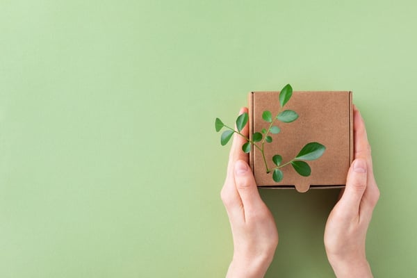 Sustainable Packaging: The Next Frontier in Skincare and Haircare