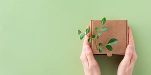Sustainable Packaging: The Next Frontier in Skincare and Haircare