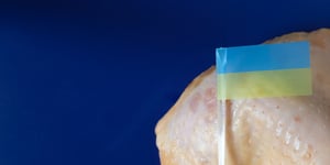 The Tangled Web of Poultry Politics: Ukraine’s Struggle and Triumph in the EU Market