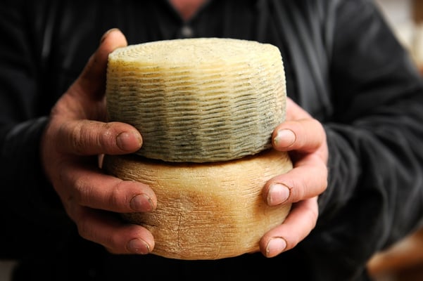 Shaking Up the Dairy World: How Leprino Foods and Fooditive Group are Redefining Cheese