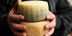 Shaking Up the Dairy World: How Leprino Foods and Fooditive Group are Redefining Cheese