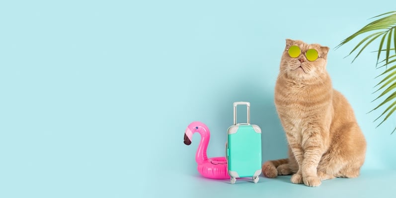 The Summer Travel Phenomenon: A Boon for Tourism and Beyond