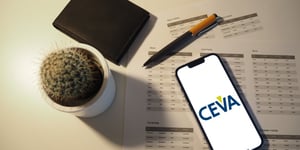 The Winds of Change: How CEVA Logistics is Redefining the Global Logistics Game