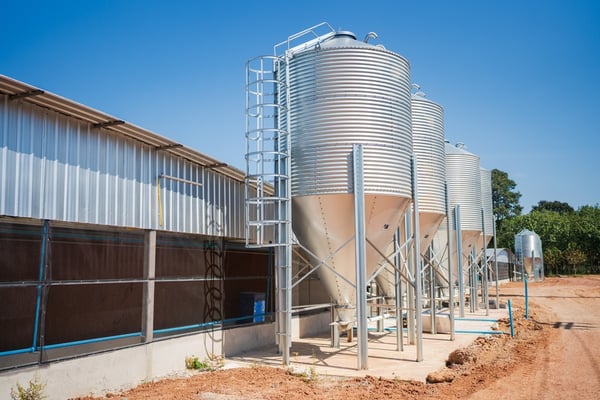 The Soaring Costs of Poultry Production: Navigating Through Global Grain Shortages