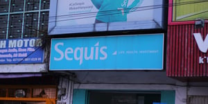 Indonesia’s Non-Life Insurance Market: A Positive Shift Towards Stability