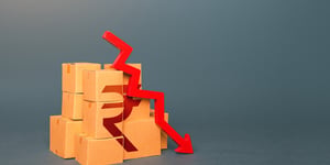 India’s Economic Resilience: Wholesale Inflation Hits a Record Low