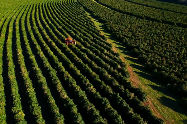 The Rise of Automated Coffee Services: Nayax’s Strategic Expansion in Latin America