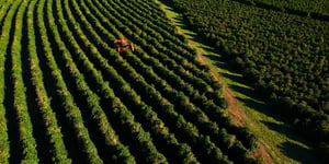 The Rise of Automated Coffee Services: Nayax’s Strategic Expansion in Latin America