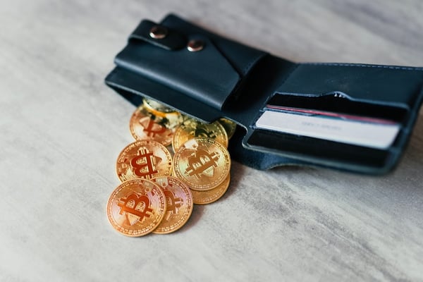 Cardano’s Wild Ride: Navigating Through Whales, TVL, and Market Tides