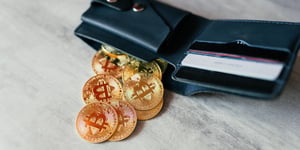 Cardano’s Wild Ride: Navigating Through Whales, TVL, and Market Tides