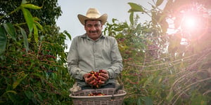 The Brewing Storm: Arabica Coffee Prices Soar Amid Global Supply Concerns