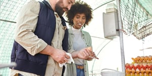 From Farm to Flight: Navigating Poultry Regulations in Airline Catering