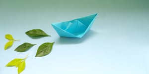 Navigating Regulatory Seas: Cruise Lines and the Global Push for Environmental Compliance